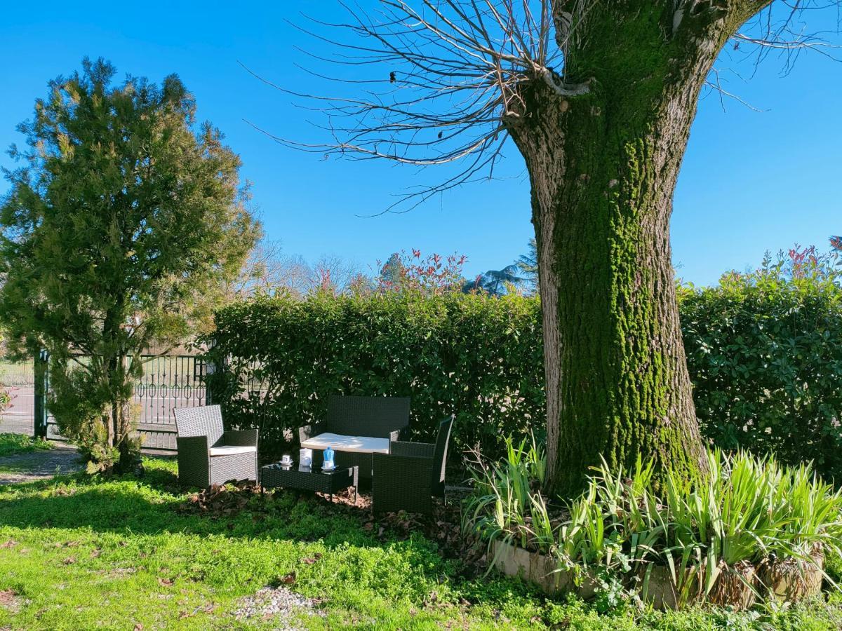 Il Tiglio B&B Dozza Eksteriør billede